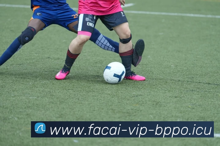 华体会体育注册平台生态图